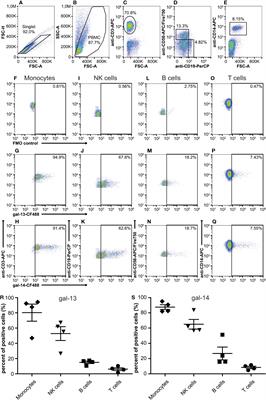 Placental galectins regulate innate and adaptive immune responses in pregnancy